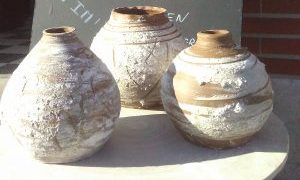 cropped-IMAG1922-e1566064922734-1.jpg